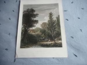 Seller image for A Woodland View for sale by David Pearson