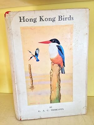 HONG KONG BIRDS