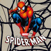 Bild des Verkufers fr El mundo segn Spider-Man zum Verkauf von AG Library