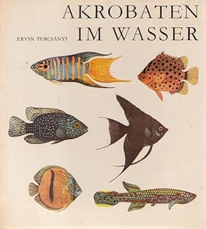 Bild des Verkufers fr Akrobaten im Wasser. Fr Leser von 8 Jahren an. zum Verkauf von Ant. Abrechnungs- und Forstservice ISHGW