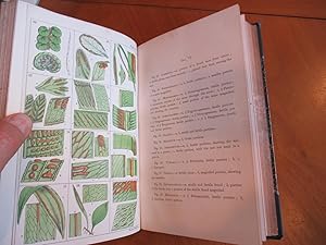 Synopsis Filicum; Or, A Synopsis Of All Known Ferns, Including The Osmundaceæ, Schizæsveæ, Maratt...