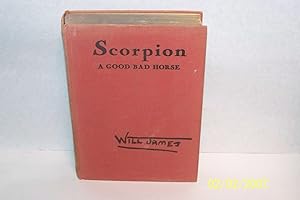 Scorpion: A Good Bad Horse