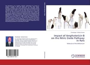 Seller image for Impact of Amphotericin-B on the Nitric Oxide Pathway in Rats : Molecule of the Millennium for sale by AHA-BUCH GmbH