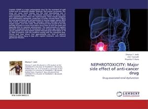 Imagen del vendedor de NEPHROTOXICITY: Major side effect of anti-cancer drug : Drug-associated renal dysfunction a la venta por AHA-BUCH GmbH