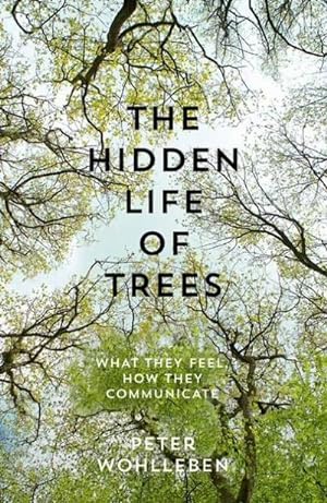 Bild des Verkufers fr The Hidden Life of Trees zum Verkauf von Rheinberg-Buch Andreas Meier eK