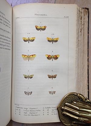 Histoire Naturelle Des Lépidoptères Ou Papillons De France. Nocturnes. Tome neuvième.