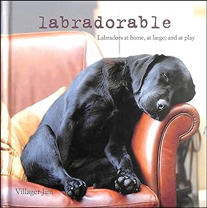 Labradorable: Labradors at home, at large, and at play