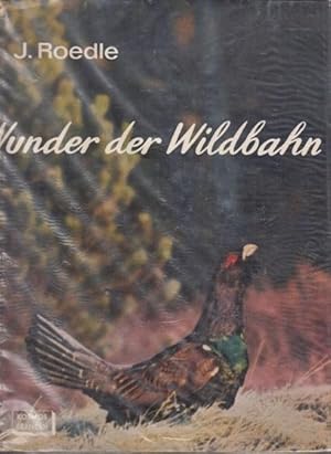 Seller image for Wunder der Wildbahn. Auf Fotgopirsch in Wald, Berg und Moor. for sale by Buchversand Joachim Neumann