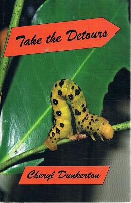 Seller image for Take The Detours for sale by Marlowes Books and Music