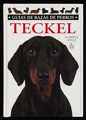 Teckel. Guia de Razas de Perros.