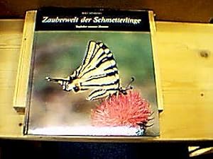 Immagine del venditore per Zauberwelt der Schmetterlinge. Tagfalter unserer Heimat. venduto da Antiquariat Andree Schulte