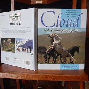 Cloud - Wild Stallion of the Rockies