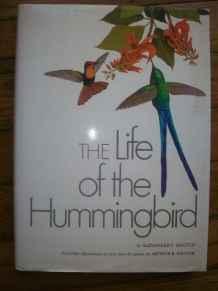 Imagen del vendedor de Life of The Hummingbird, The a la venta por Monroe Street Books