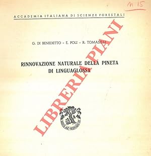 Rinnovazione naturale della pineta di Linguaglossa.