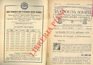 La Società S.P.I.C.A. Nell'anno 1919. Relazione del Consiglio di Amministrazione.
