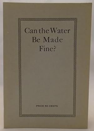 Can the Water Be Made Fine?: Southern Politics and Women: Primaries, Prohibition, The Negro Quest...