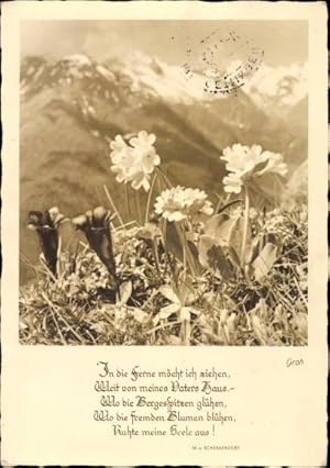 Gedicht Ansichtskarte / Postkarte Enzian und Schlüsselblumen im Gebirge, In die Ferne möcht ich z...