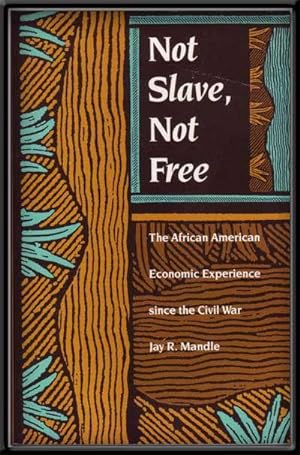 Not Slave, Not Free: The African American Economic Experience Since the Civil War