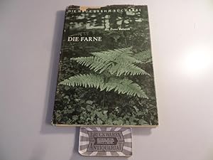 Seller image for Die Farne. Die Neue Brehm-Bcherei, Bd. 156. for sale by Druckwaren Antiquariat