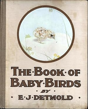 Bild des Verkufers fr Book of Baby Birds zum Verkauf von E. M. Maurice Books, ABAA