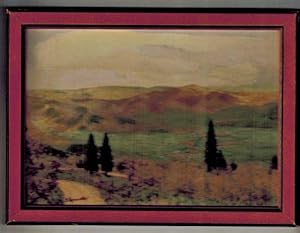 View from Rabbit Ears Pass Road Colorado ( Hand Colored Photograph )