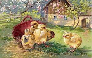 Fröhliche Ostern. Geprägte Postkarte in farbiger Lithographie. Abgestempelt Cöln 10.04.1909.