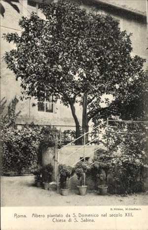 Ansichtskarte / Postkarte Roma Rom Lazio, Albero piantato da S. Domenico ne secolo XIII, Chiesa d...