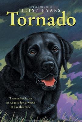 Imagen del vendedor de Tornado (Paperback or Softback) a la venta por BargainBookStores