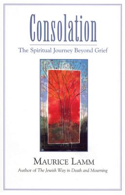 Imagen del vendedor de Consolation: The Spiritual Journey Beyond Grief (Paperback or Softback) a la venta por BargainBookStores