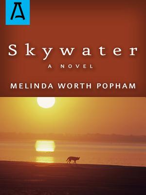 Seller image for Skywater (Paperback or Softback) for sale by BargainBookStores