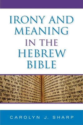 Image du vendeur pour Irony and Meaning in the Hebrew Bible (Hardback or Cased Book) mis en vente par BargainBookStores