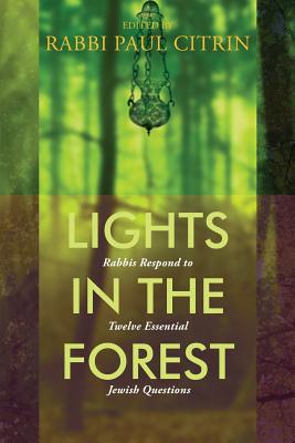 Imagen del vendedor de Lights in the Forest: Rabbis Respond to Twelve Essential Jewish Questions (Paperback or Softback) a la venta por BargainBookStores