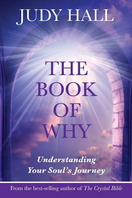 Imagen del vendedor de The Book of Why (Paperback or Softback) a la venta por BargainBookStores