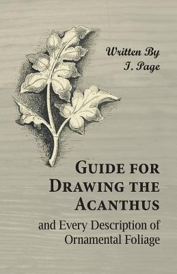 Imagen del vendedor de Guide for Drawing the Acanthus, and Every Description of Ornamental Foliage (Paperback or Softback) a la venta por BargainBookStores