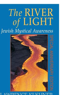 Immagine del venditore per The River of Light (Hardback or Cased Book) venduto da BargainBookStores