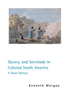 Imagen del vendedor de Slavery and Servitude in Colonial North America: A Short History (Paperback or Softback) a la venta por BargainBookStores