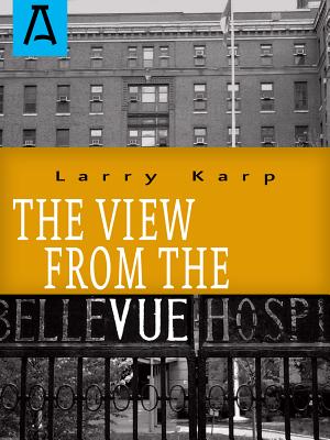 Seller image for The View from the Vue (Paperback or Softback) for sale by BargainBookStores