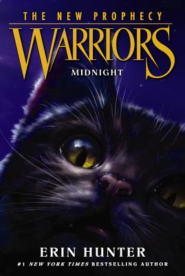 Image du vendeur pour Midnight (Paperback or Softback) mis en vente par BargainBookStores