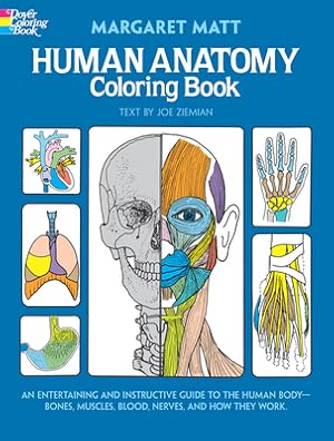 Seller image for Human Anatomy Coloring Book (Paperback or Softback) for sale by BargainBookStores