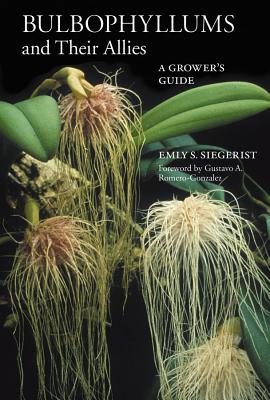 Imagen del vendedor de Bulbophyllums and Their Allies: A Grower's Guide (Paperback or Softback) a la venta por BargainBookStores