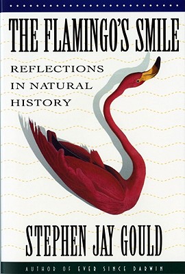 Seller image for The Flamingo's Smile: Reflections in Natural History (Paperback or Softback) for sale by BargainBookStores