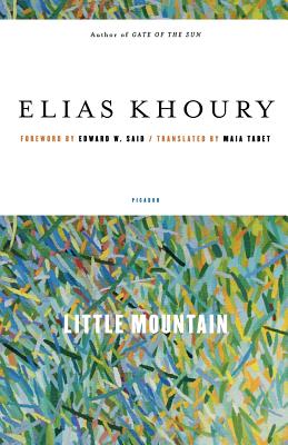 Seller image for Little Mountain (Paperback or Softback) for sale by BargainBookStores