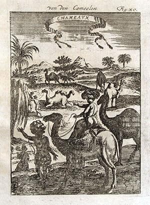 EGYPT, CAMELS, CAMEL RIDERS, Mallet original antique print 1719