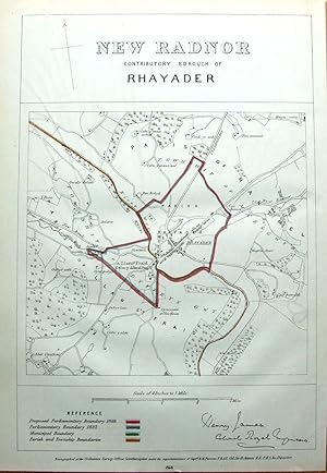 Antique Map WALES, POWYS, RHAYADER, LLANSANTFFRAED, Boundaries Commission 1868