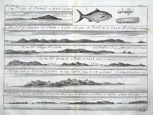 AFRICA, SIERRA LEONE, SHERBRO ISLAND etc. J.Barbot, J.Kip antique print 1732