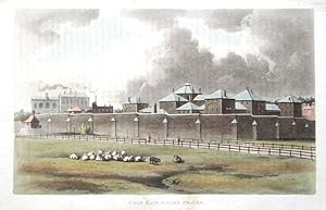 COLD BATH FIELDS PRISON, LONDON Ackermann Original Aquatint,Antique Print c1815