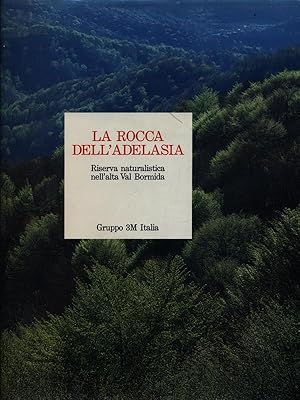 Bild des Verkufers fr La Rocca dell'Adelasia zum Verkauf von Librodifaccia