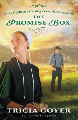 Bild des Verkufers fr The Promise Box (Paperback or Softback) zum Verkauf von BargainBookStores