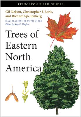 Bild des Verkufers fr Trees of Eastern North America (Paperback or Softback) zum Verkauf von BargainBookStores
