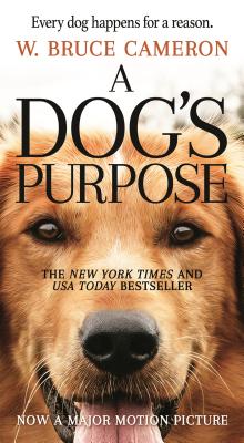 Immagine del venditore per A Dog's Purpose: A Novel for Humans (Paperback or Softback) venduto da BargainBookStores
